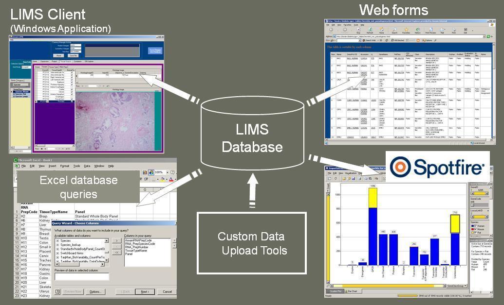 overview of LIMS system