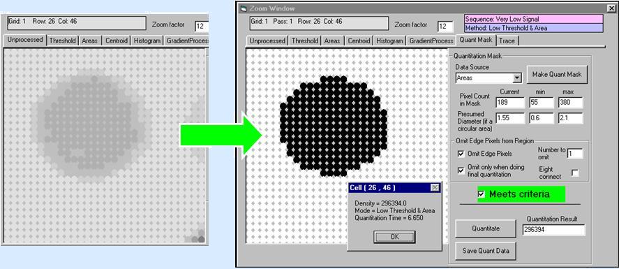 PIA quantitation mask